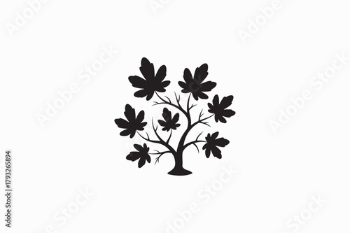 Broadleaf  Maple tree vector silhouettes black image. .eps