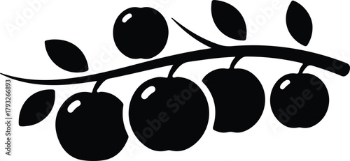 Illustrator Apple tree branch with leaves and fruits Silhouette vector