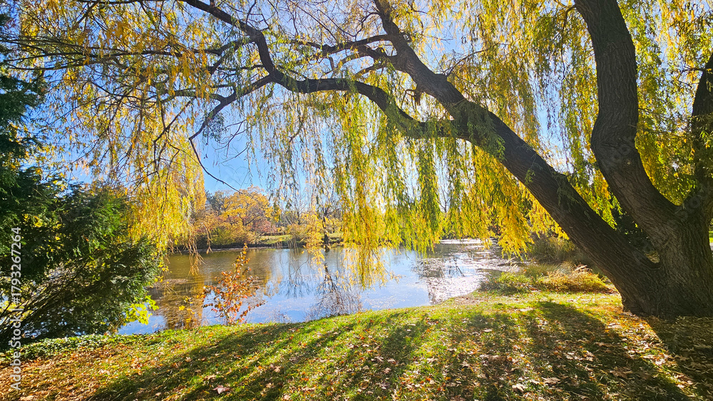 Naklejka premium Herbst im Park