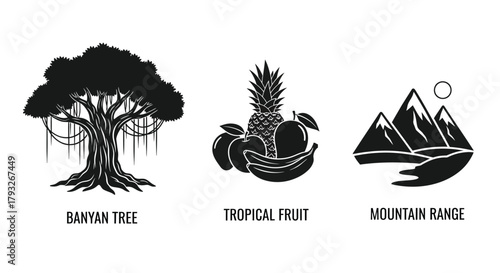 Black and white illustrations of a banyan tree fruit and mountains