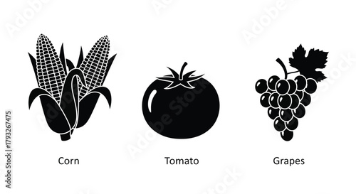 Black and white illustration depicting corn a tomato and a bunch of grapes