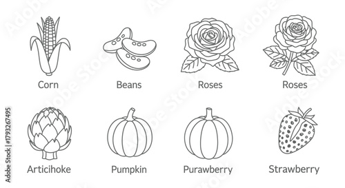 Line art illustration of various fruits vegetables and flowers in black and white
