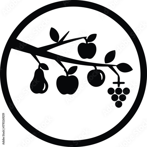 Illustrator Fruit tree branch silhouette with apples pears and grapes Silhouette vector