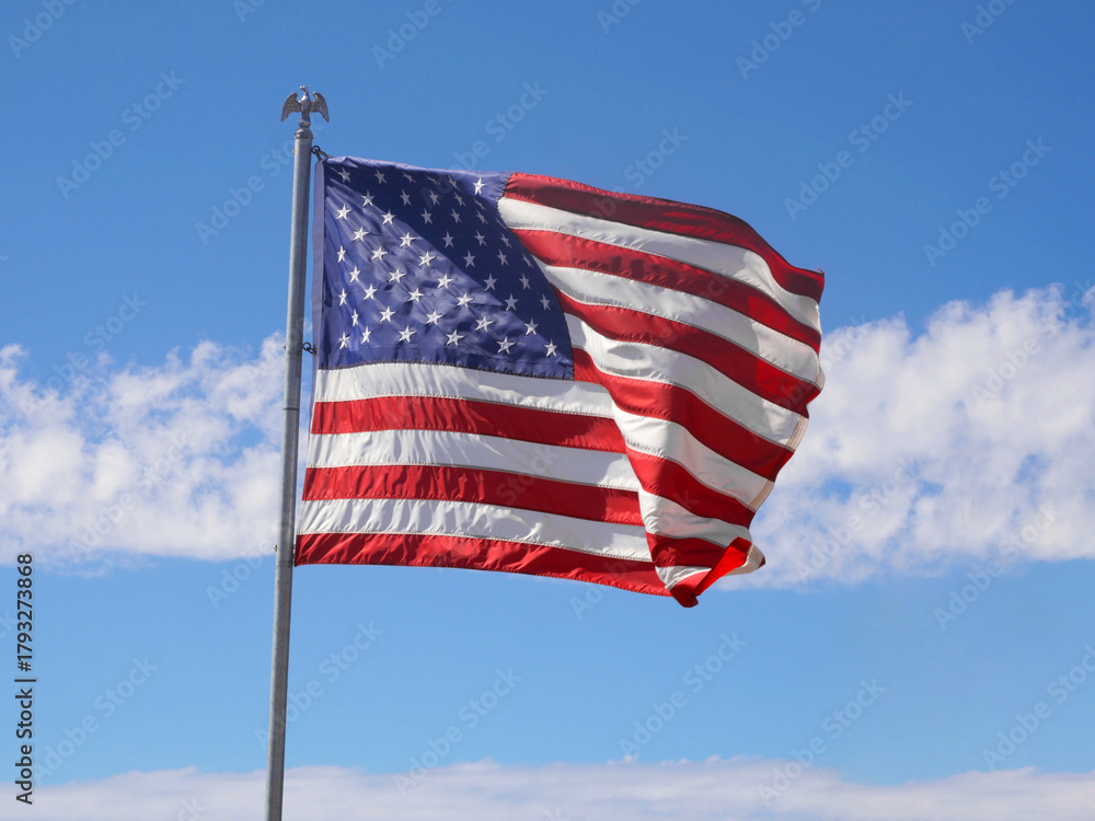 Obraz premium Flag of the United States of America waving on top of the hill at Wisdom Tree during a summer season in Los Angeles, California, USA