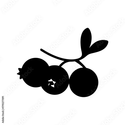 Minimalist blueberry branch icon graphic illustration