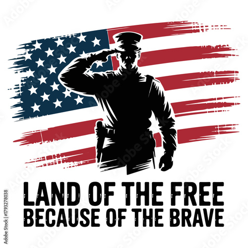 Inspirational quote design with soldier silhouette and USA flag brush stroke. Ideal for Veterans Day t-shirts and posters.