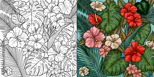 Tropical Hibiscus Flowers and Monstera Leaves Floral Arrangement - Black and White Line Art Coloring Page and Vibrant Colored Vector Illustration