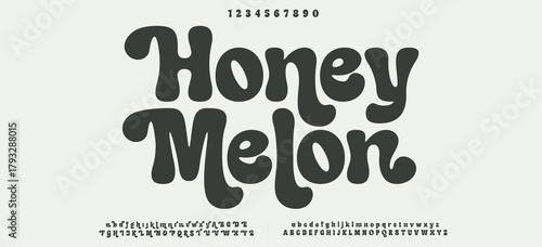 Typography beauty fashion elegant minimalist serif italic fonts decorative wedding vintage retro logos. Minimal luxury font alphabet logo. Vector illustration