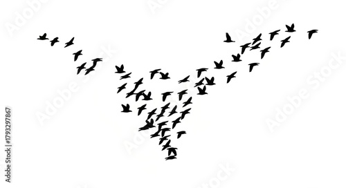 Flock of Birds Flying in Formation Against White Sky

