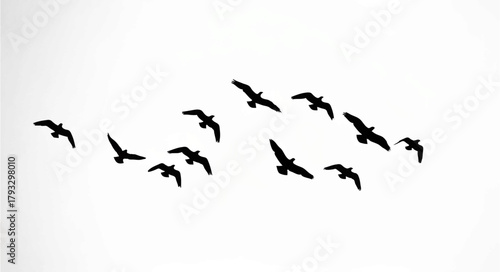 Seagulls Flying in Formation on White Sky


