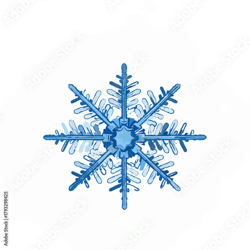 Detailed Macro Photograph of Blue Snowflake

