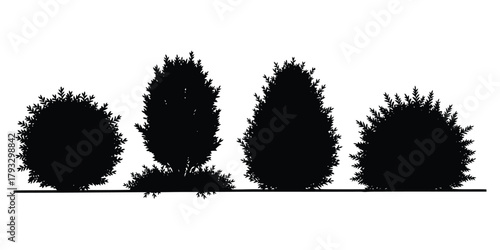 Silhouette of Four Different Shaped Bushes on White Background