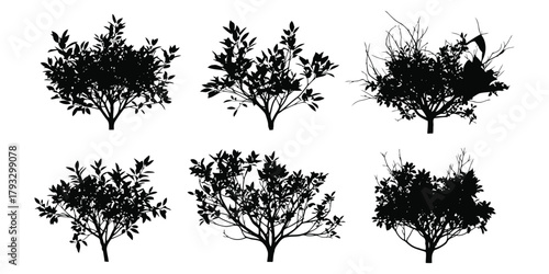 Six Black Silhouettes of Leafy and Bare Bushes shrub