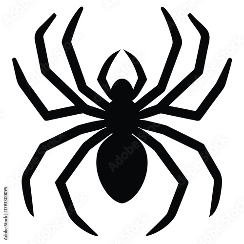 spider vector icon