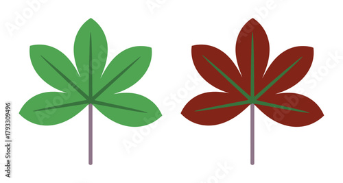 Two stylized leaves, one green and one reddish-brown, are shown against a white background.