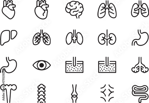 Human Anatomy and Modern Surgical Line Icon Set  Internal Organ Structure and Hospital Diagnostics Collection