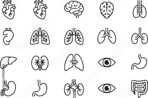 Professional Medical Care Line Icon Set - Anatomy, Surgery and Hospital Ward Outlines