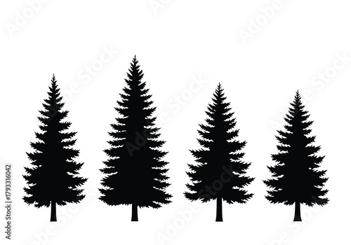Silhouettes of four evergreen trees against a white background