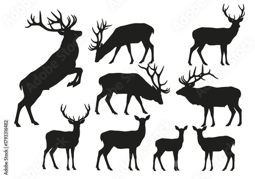 Silhouettes of majestic deer and elk in various poses