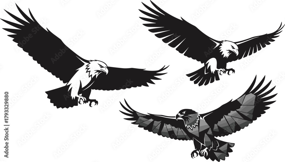Naklejka premium Eagle silhouette, bird of prey, flying eagle, bald eagle illustration, wings spread, black vector, freedom symbol, abstract flight, talons extended