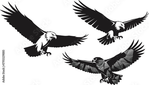 Eagle silhouette, bird of prey, flying eagle, bald eagle illustration, wings spread, black vector, freedom symbol, abstract flight, talons extended