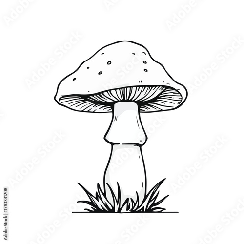 Mushroom black and white line art vector illustration