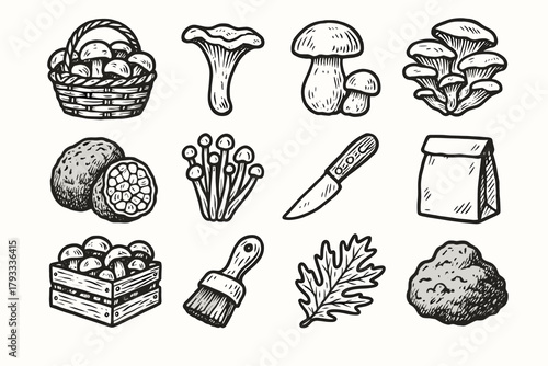 Clump icon enoki vector porcini paper farm crate icons chanterelle goods leaf