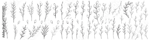 A black and white drawing of many different types of leaves. The leaves are all different sizes and shapes, and they are arranged in a row. The drawing gives the impression of a forest or a garden