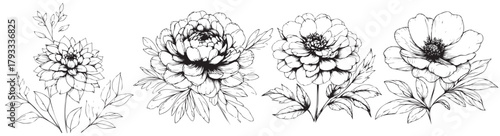 Four black and white flowers are shown in a row. The flowers are all different sizes and shapes, but they all have a similar style and look. The image has a classic, timeless feel to it
