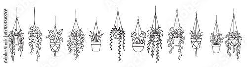 A row of hanging plants in various sizes and shapes. The plants are all black and the background is white