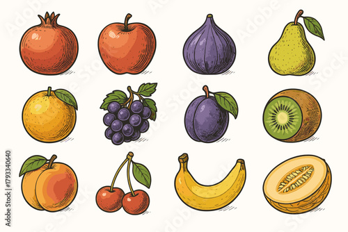 Plum fig hand pear icon apple fruit pomegranate vector kiwi grape drawn