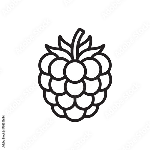 A simple black and white line art icon of a raspberry