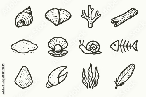 Claw shell tiny icon clam driftwood broken seashell stem vector snail collection