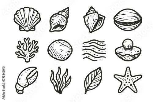 Collection icon pebble coral shell seashell starfish clam ripple scallop algae vector