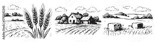 A farm scene with a house, barn, and cows. The image is black and white and has a peaceful, rural feel