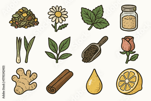 Flower black root icon essentials honey chamomile icons spice vector leaf tea