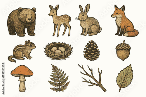 Vector icon leaf branch icons woodland mushroom chipmunk nest fawn pinecone life