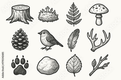 Feather bird life twig pinecone stump print icons icon antler mushroom woodland