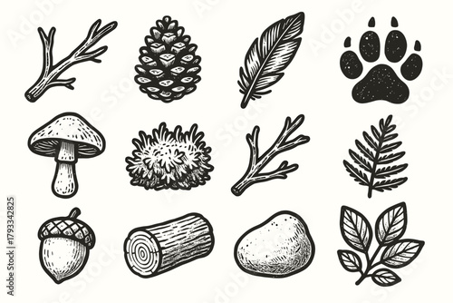 Vector set feather branch print icon paw log cluster woodland leaf fern