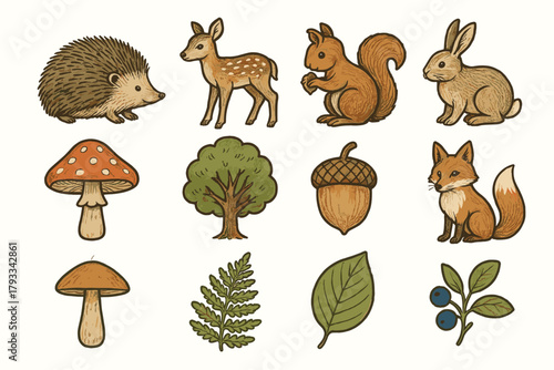 Leaf squirrel icon mushroom fern fox set fawn berry hedgehog woodland vector