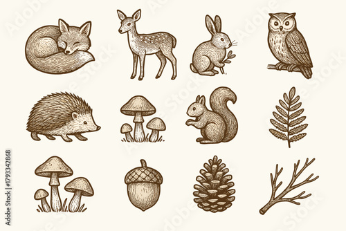 Owl leaf life woodland nibbling squirrel curled deer vector mushroom icons icon