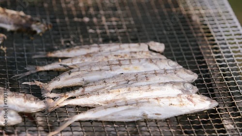 Slow motion closeup showing rows of fish grilling on metal mesh over glowing coals in Fukuoka, Japan, with heat shimmer, smoke, and warm light highlighting texture and freshness