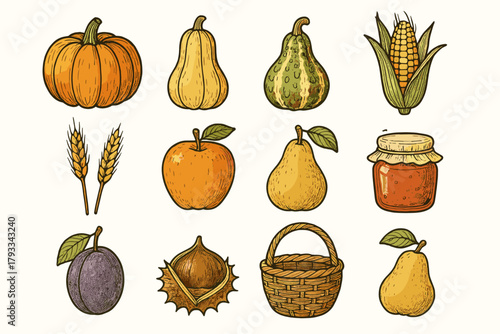 Icon wheat chestnut corn icons plum gourd apple vector jar harvest autumn