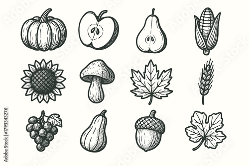 Corn vector stalk pear icons bunch head icon harvest cob grape mushroom