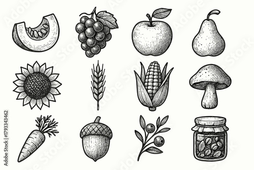 Icons vector jar ear cob bunch icon grape wheat harvest apple carrot