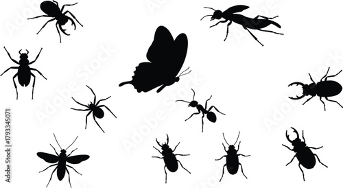 Insect silhouettes, butterfly, spider, ant, beetle, fly, entomology, white background, nature, wildlife, taxonomy 