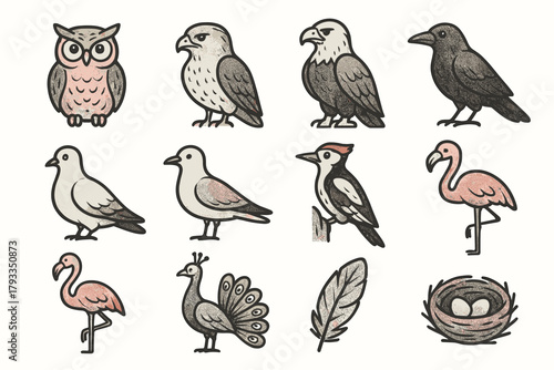Hawk peacock flamingo seagull owl feather eagle bird icon dove collection vector
