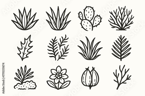 Fern sand icons desert twig thorn bush plant rosette leaf pod icon