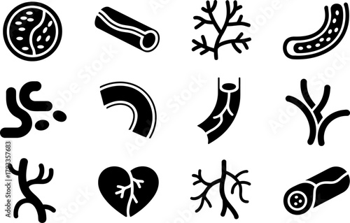Medical illustration of circulatory system parts with veins and arteries set