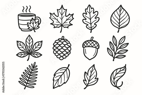 Icon fall maple pinecone curled oak acorn vector leaf twig autumn leaves